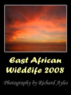 East African Wildlife Calendar